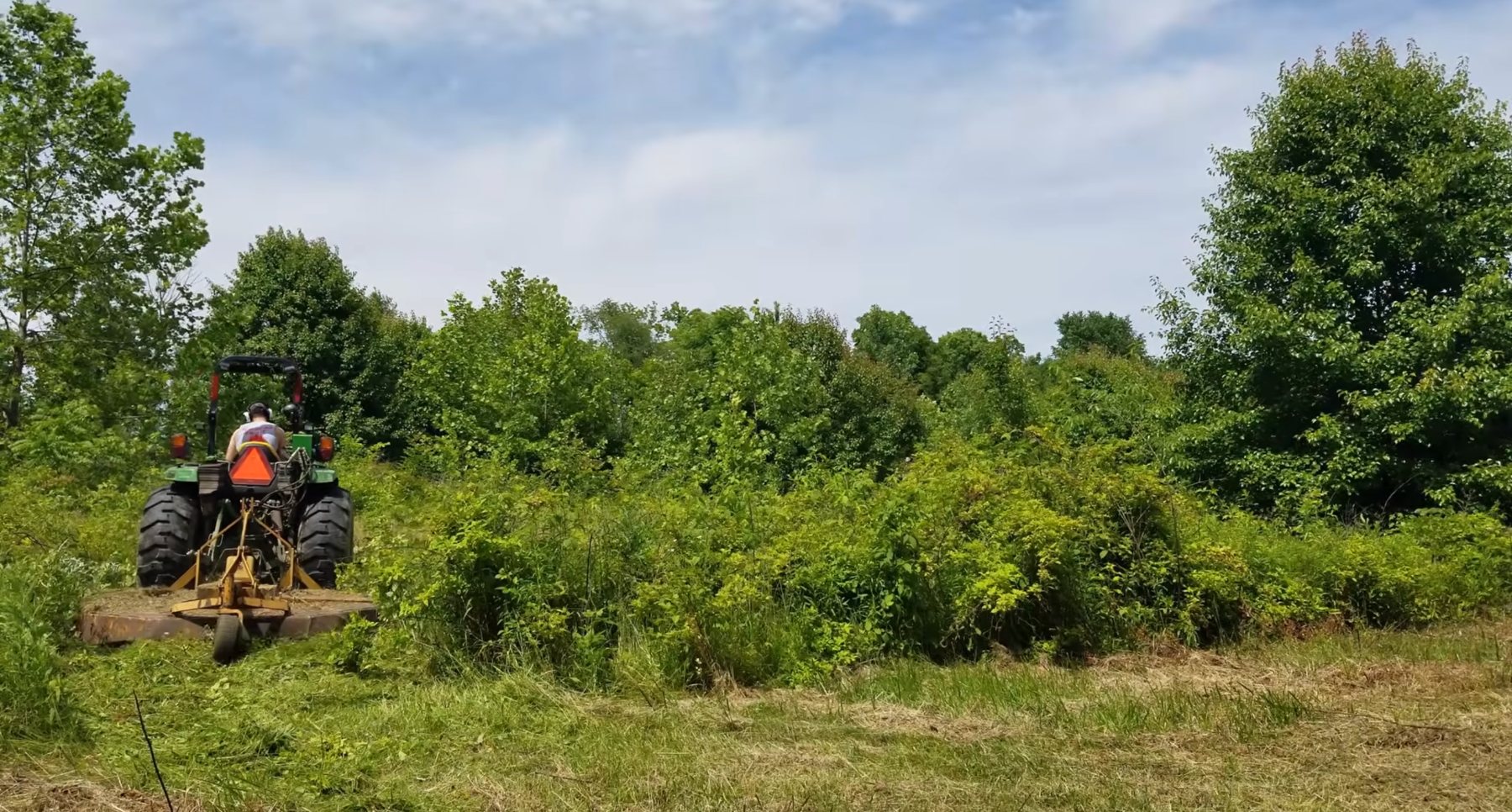 Tractor mowing overgrown acreage